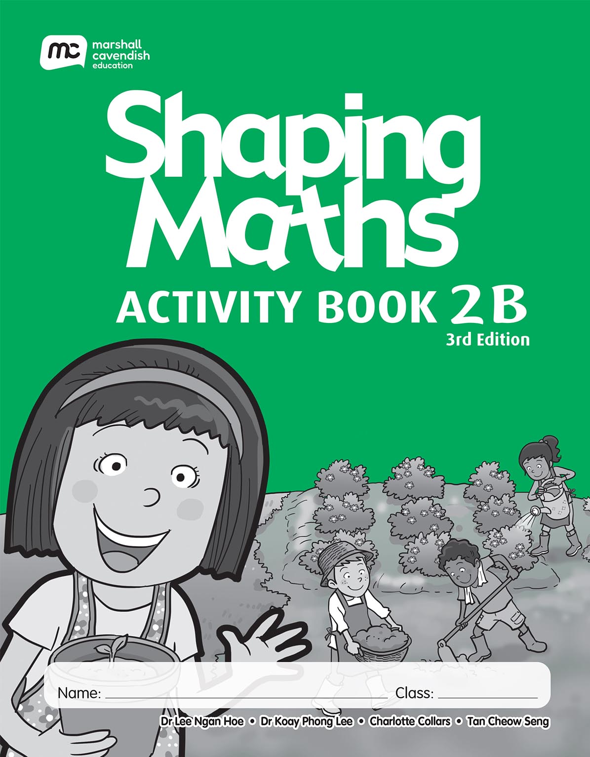 Shaping Maths Activity Book 2B